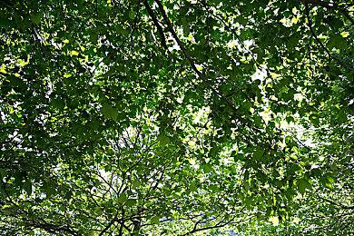 《最后的生还者》重制原因：2013年的创意过于领先