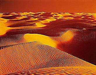 世嘉在TGA上将有新的宣布 号称进入新时代