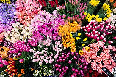 微软：索尼与第三方有“排除Xbox”协议 包括《FF16》