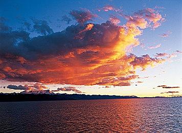 这次是正版了 育碧为《极限国度》添加新曲《For Ya》