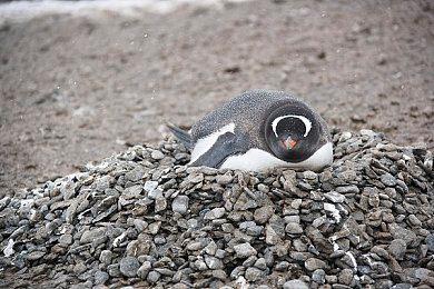 《上古卷轴5》设计师：开放世界游戏越来越乏味 让玩家没热情